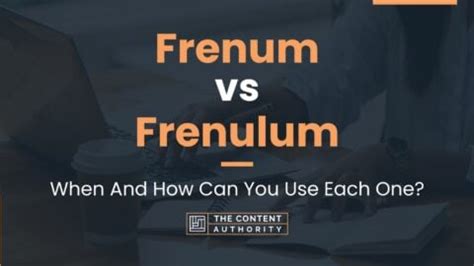 frenulum plural|difference between frenum and frenulum.